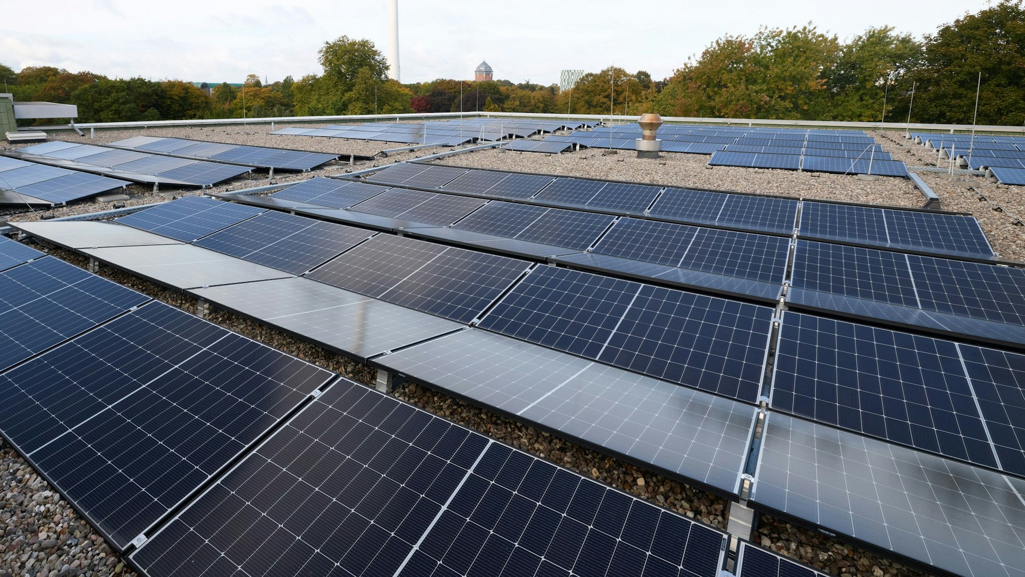 Die Photovoltaik ist nur ein Geschäftsbereich von vielen beim Kölner Unternehmen „empact“.