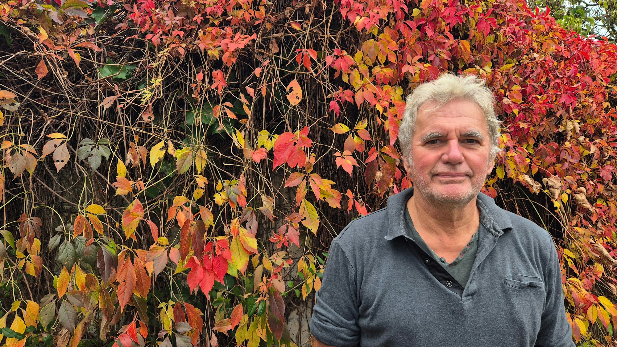 Ein Mann steht vor einer herbstlich verfärbten Hecke.