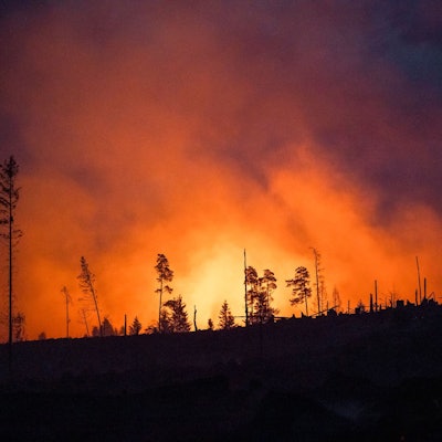 Waldbrände fachen mit ihren Emissionen die Erderwärmung zusätzlich an. (Illustraiton)