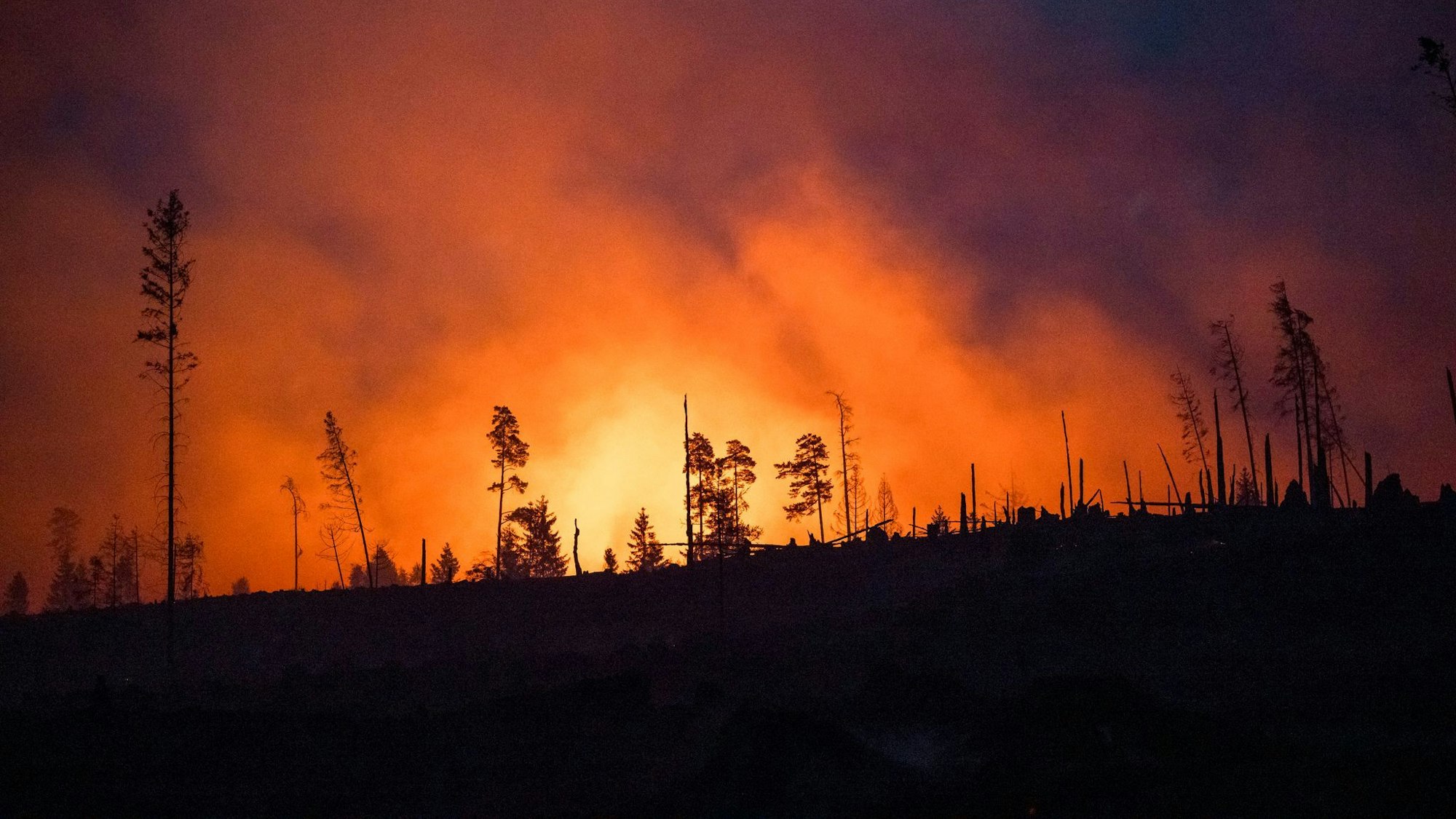 Waldbrände fachen mit ihren Emissionen die Erderwärmung zusätzlich an. (Illustraiton)