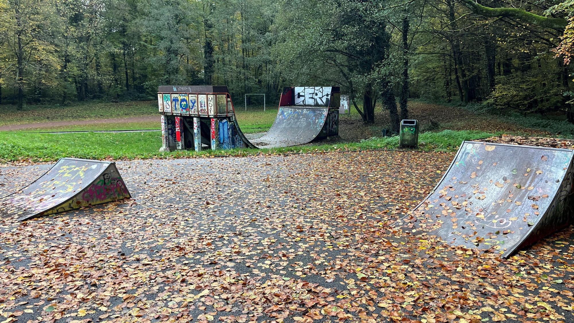 Zu sehen sind eine Halfpipe und zwei kleine Sprungelemente, die mit Laub bedeckt sind.