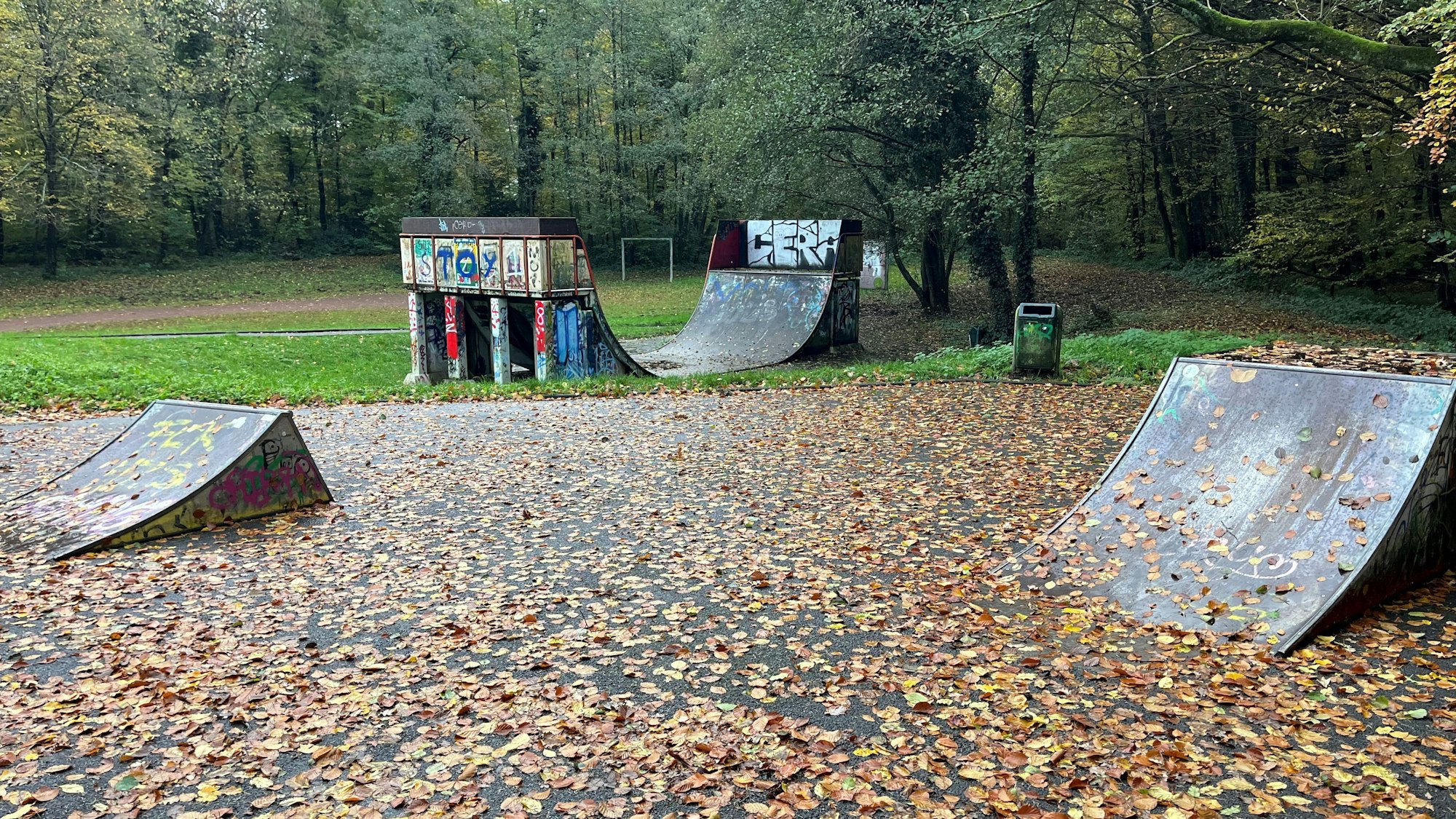 Zu sehen sind eine Halfpipe und zwei kleine Sprungelemente, die mit Laub bedeckt sind.