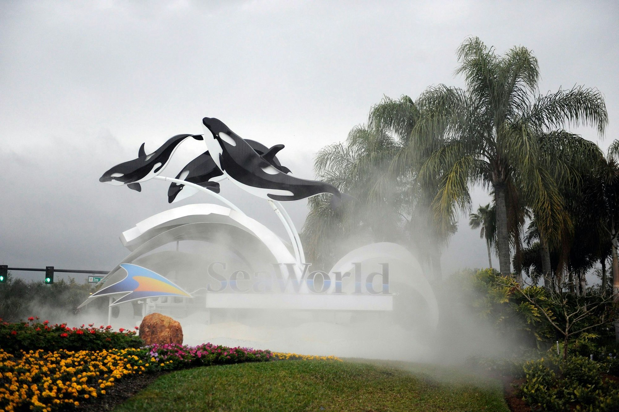 Zum Schutz von Meeressäugern: Dertour nimmt Ausflüge wie ins Seaworld in Florida aus seinem Programm.