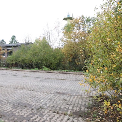 Das Foto zeigt den kürzlich freigeschnitten Parkplatz vor der Reichshof-Kaserne.