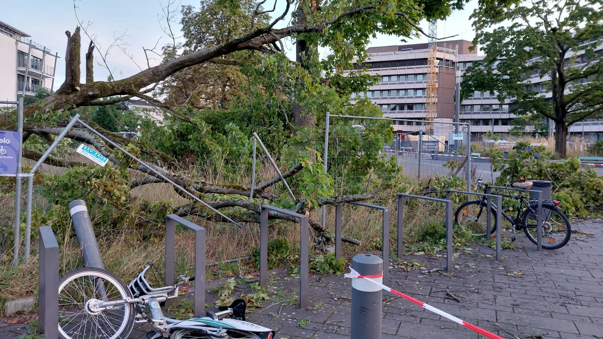 Ein umgestürzter Baum liegt auf einem Zaun und einem Fahrradständer