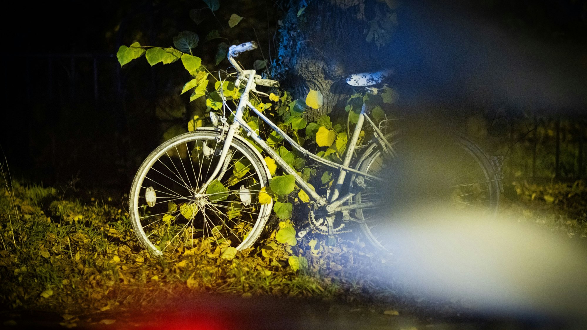 Die sogenannten Geisterräder erinnern an verstorbene Radfahrer.