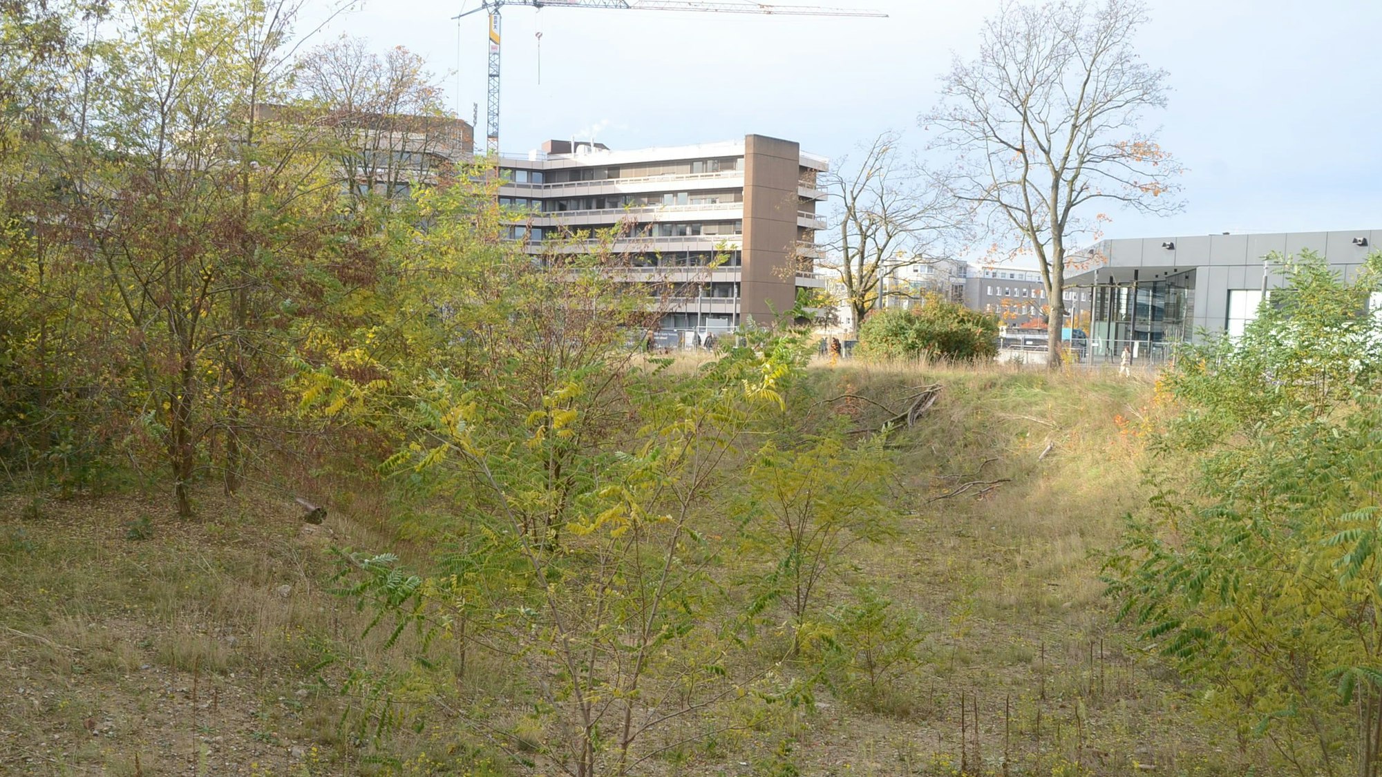 Eine Grube mit Gebüsch und Bäumen. Im Hintergrund ein Verwaltungsgebäude und eine Veranstaltungshalle.