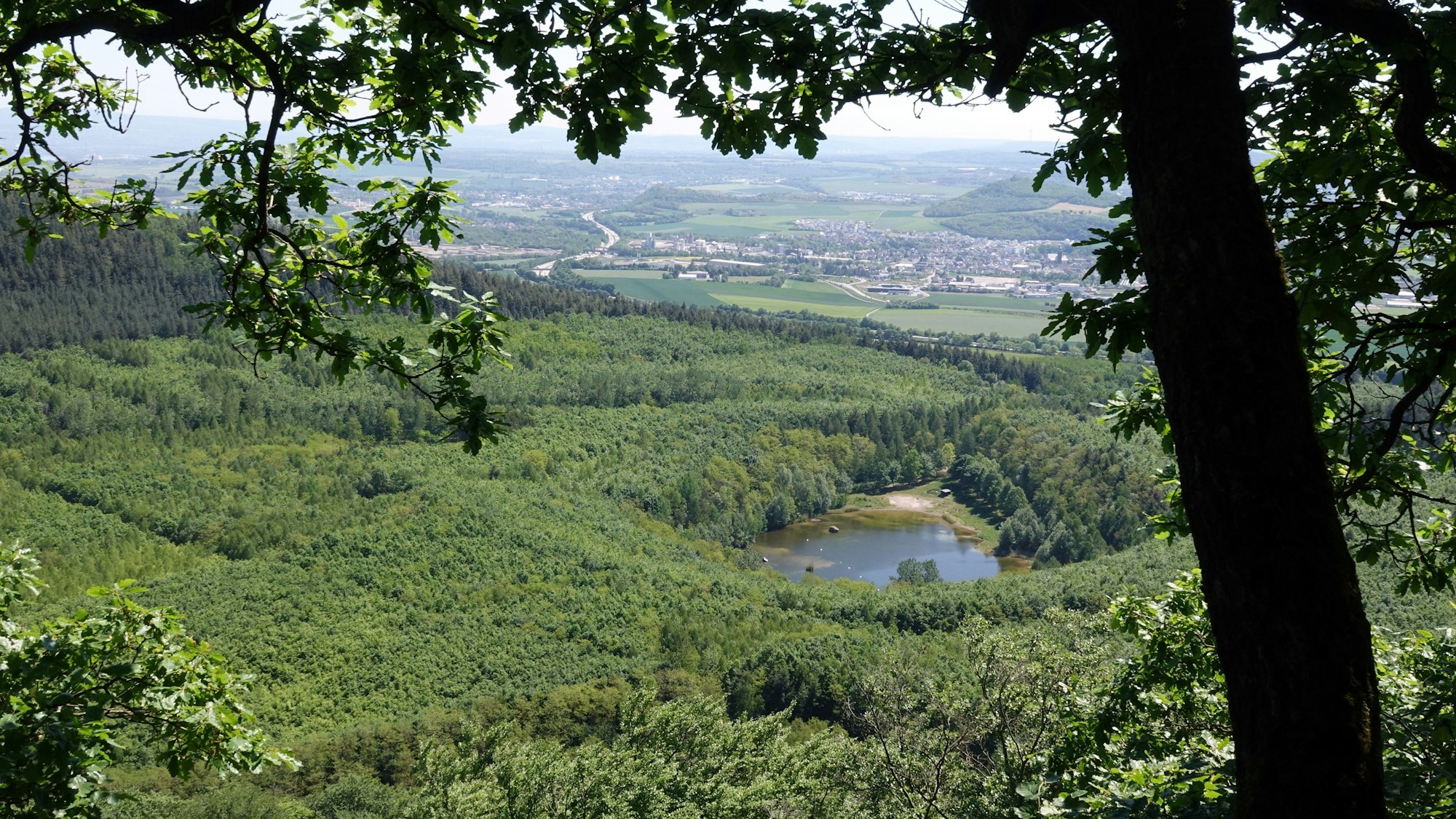 Ein Waldsee in der Osteifel.
