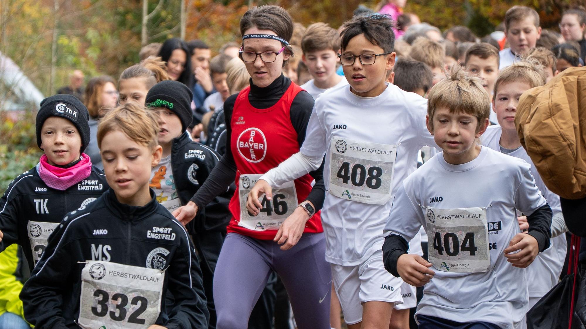 Zu sehen ist eine Gruppe von Läuferinnen und Läufern im Wald.
