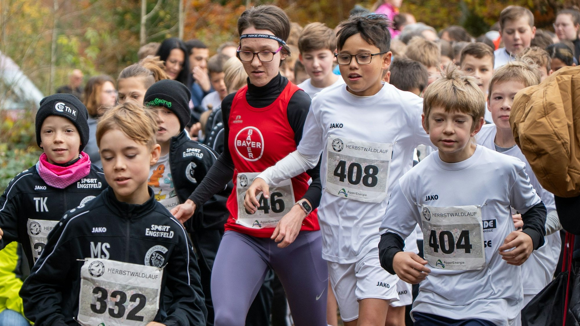 Zu sehen ist eine Gruppe von Läuferinnen und Läufern im Wald.