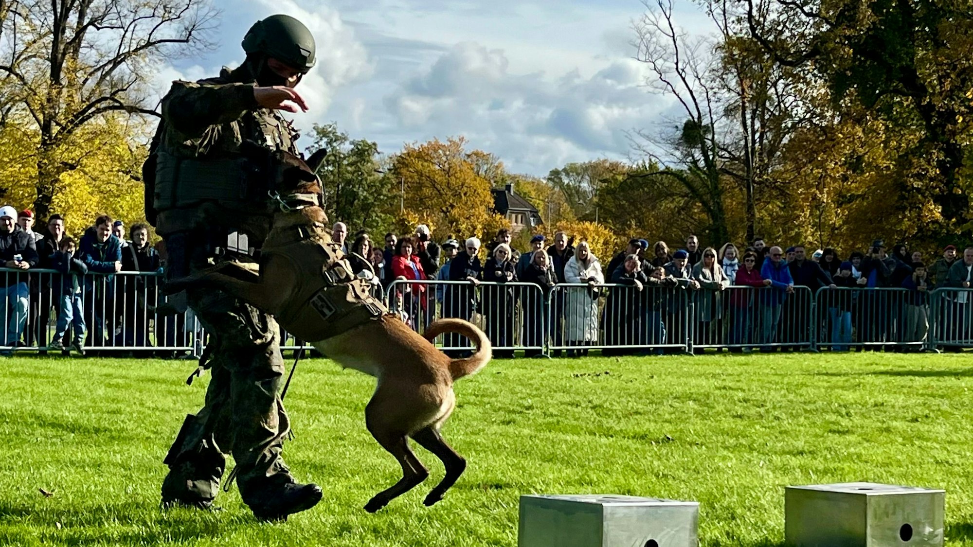 Zu sehen ist ein Soldat, der einen Schäferhund trainiert.