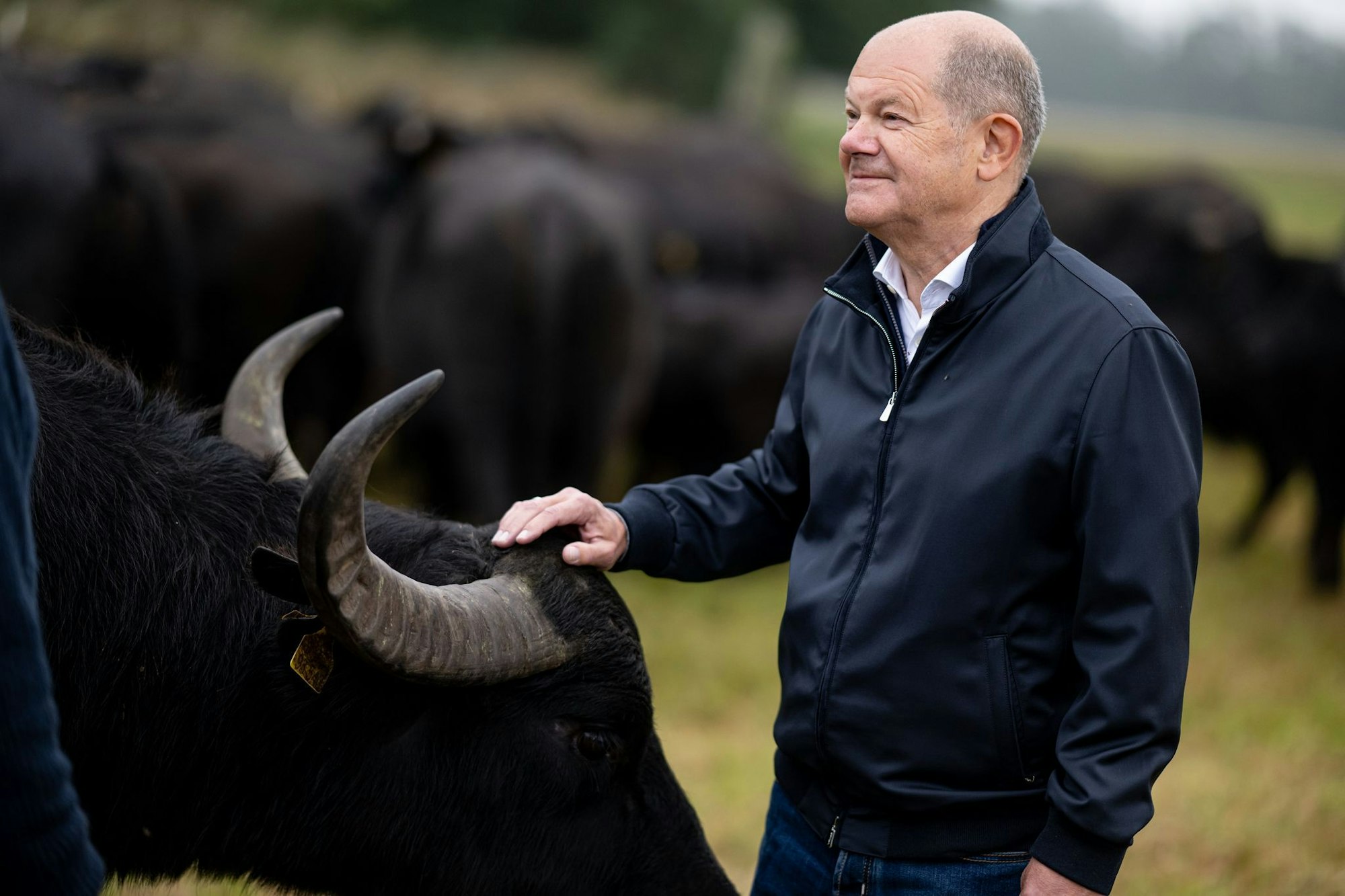 Hat als einfacher Abgeordneter nun mehr Zeit: Der frühere Bundeskanzler Olaf Scholz (SPD). (Archivbild)