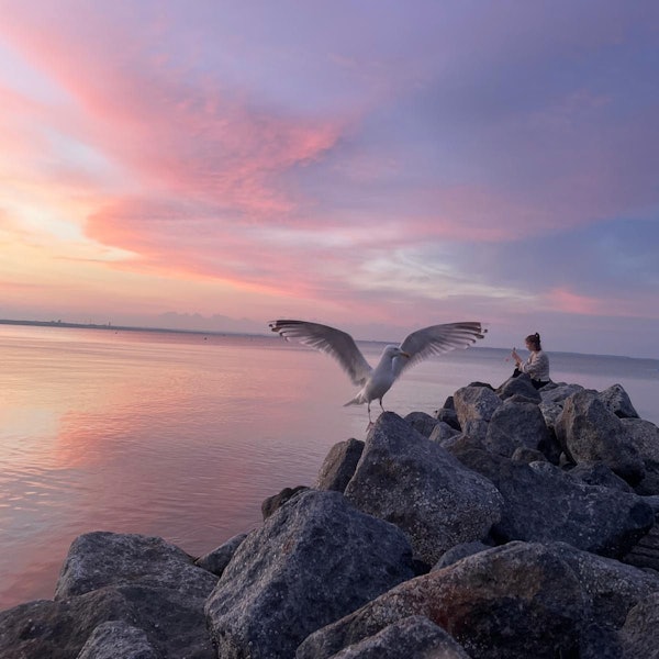 Das Bild zeigt eine Frau und eine Möwe auf einem Fels.