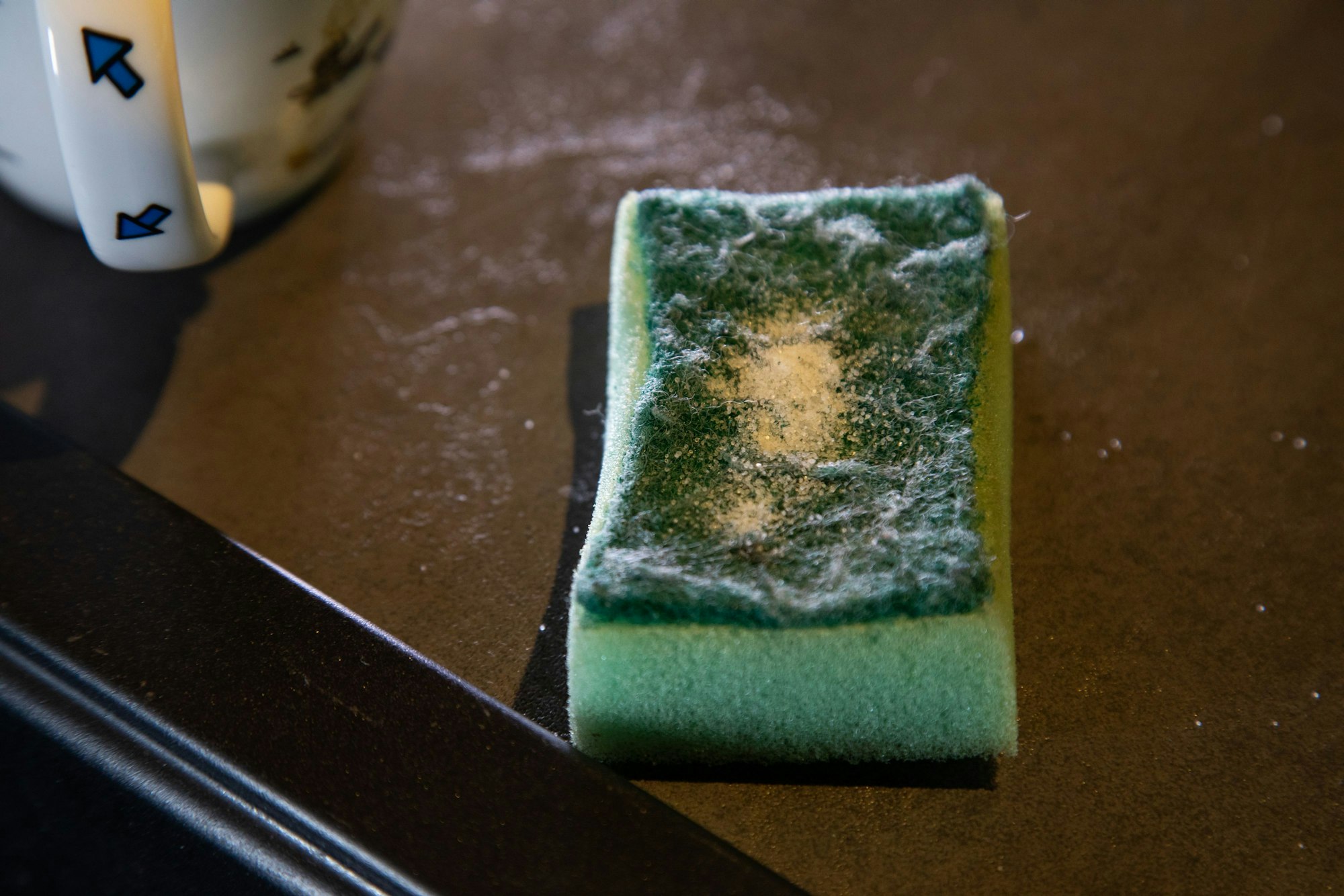 Schritt 1: Etwas Salz auf einen Schwamm streuen.