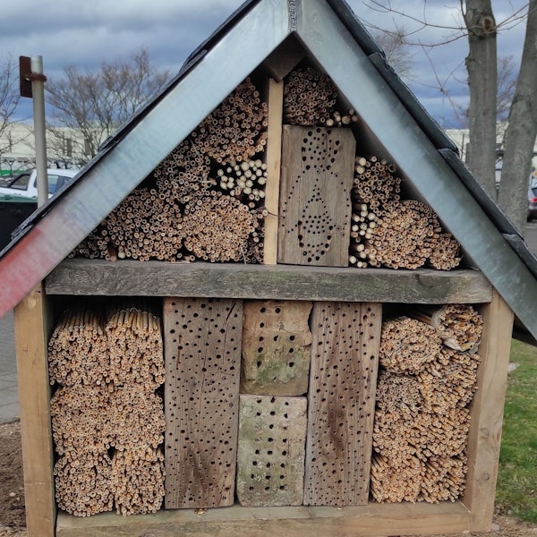 Die Bundesanstalt für Immobilienaufgaben realisiert am Standort der Bundespolizei in Sankt Augustin-Hangelar ein Großbauprojekt. Ökologische Begleitmaßnahmen gehören dazu, hier ein Insektenhotel.