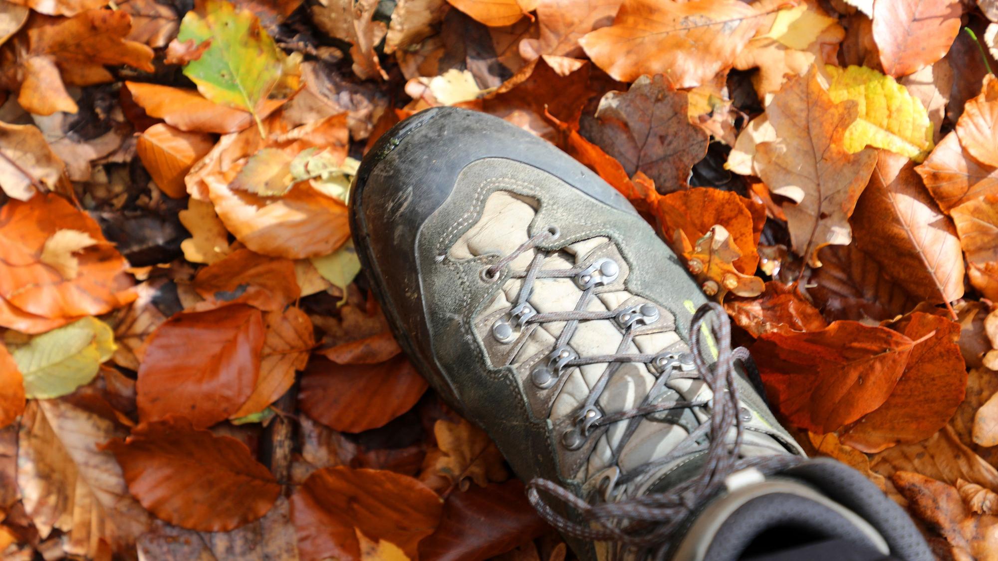 Ein Wanderschuh steht auf einem „Teppich“ aus Laub.