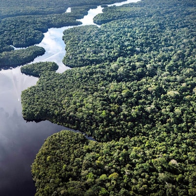 Der Amazonas: extrem wichtig fürs Klima, aber enorm unter Stress. (Archivbild)