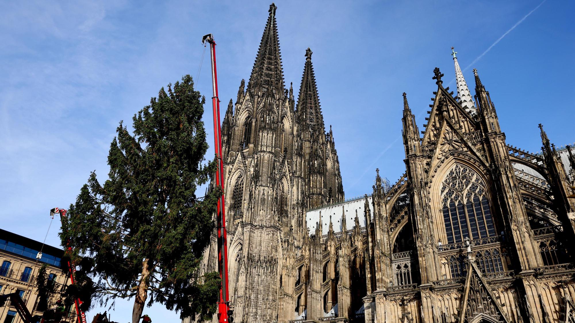 Eine 25 Meter hohe Rotfichte wurde am Dienstag für den Weihnachtsmarkt am Kölner Dom aufgestellt.