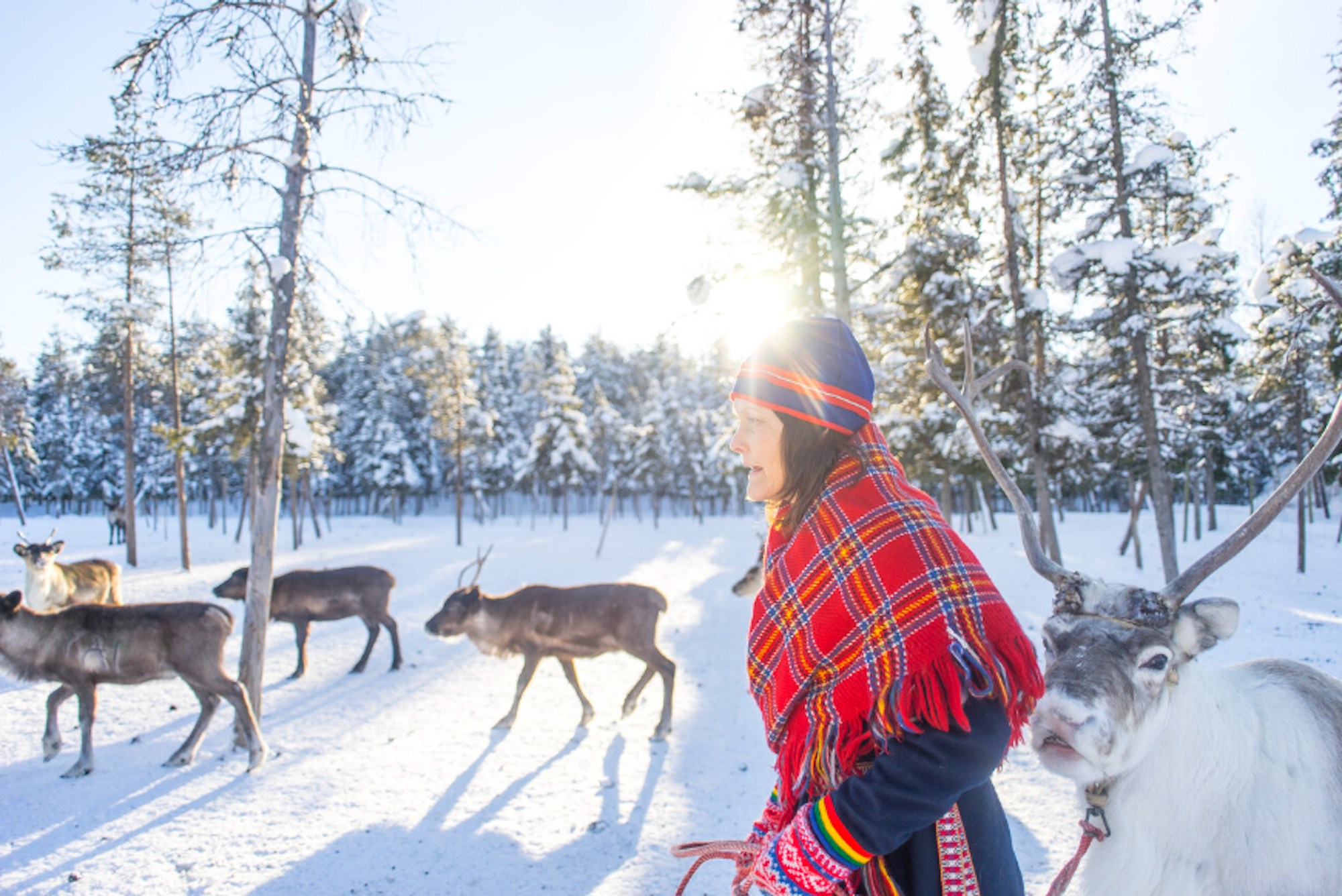 Von der Sami Helena erfahren Sie mehr über das Leben des indigenen Volks Skandinaviens aus erster Hand.