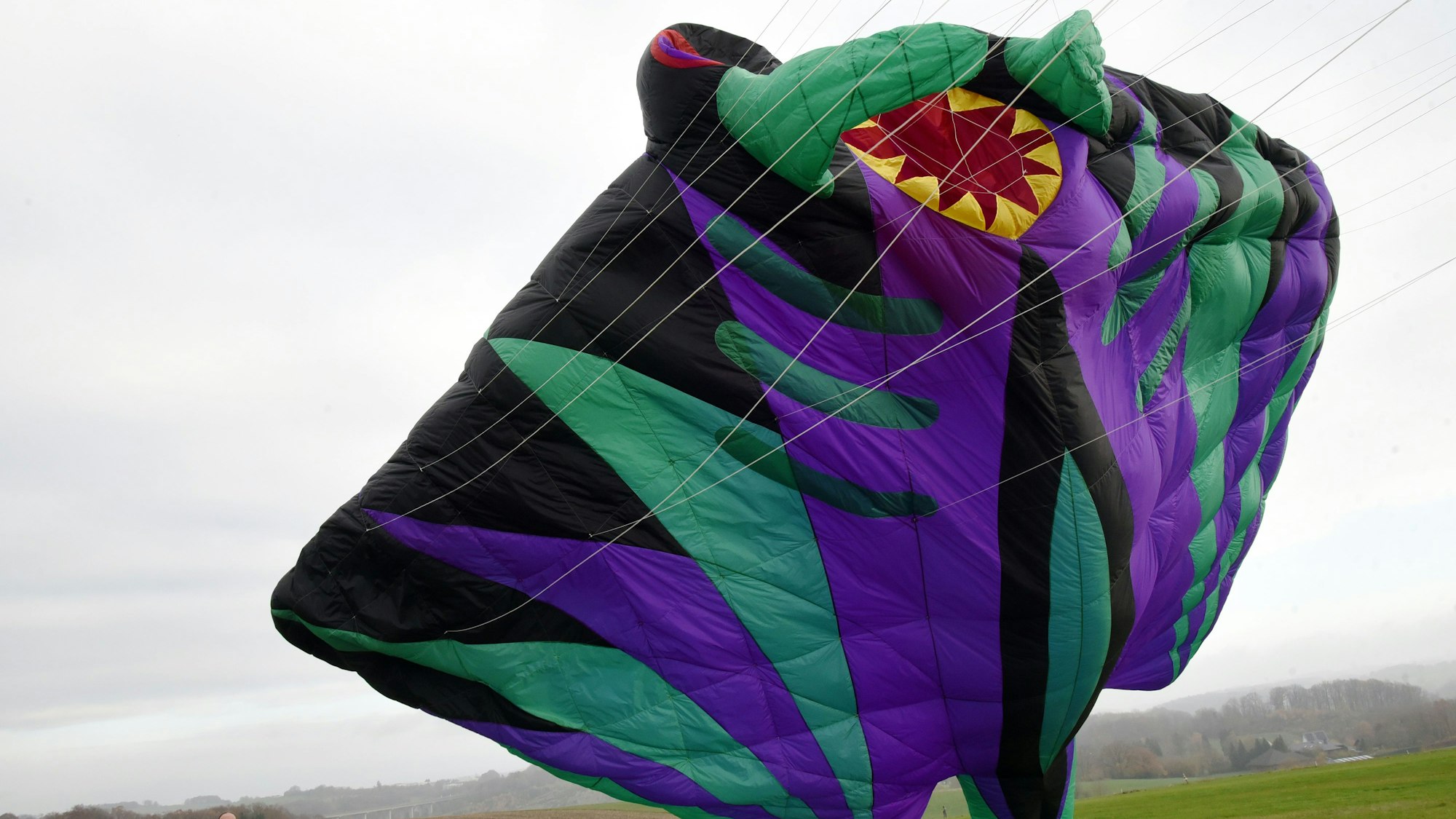 Ein großer Drache steigt in die Luft.