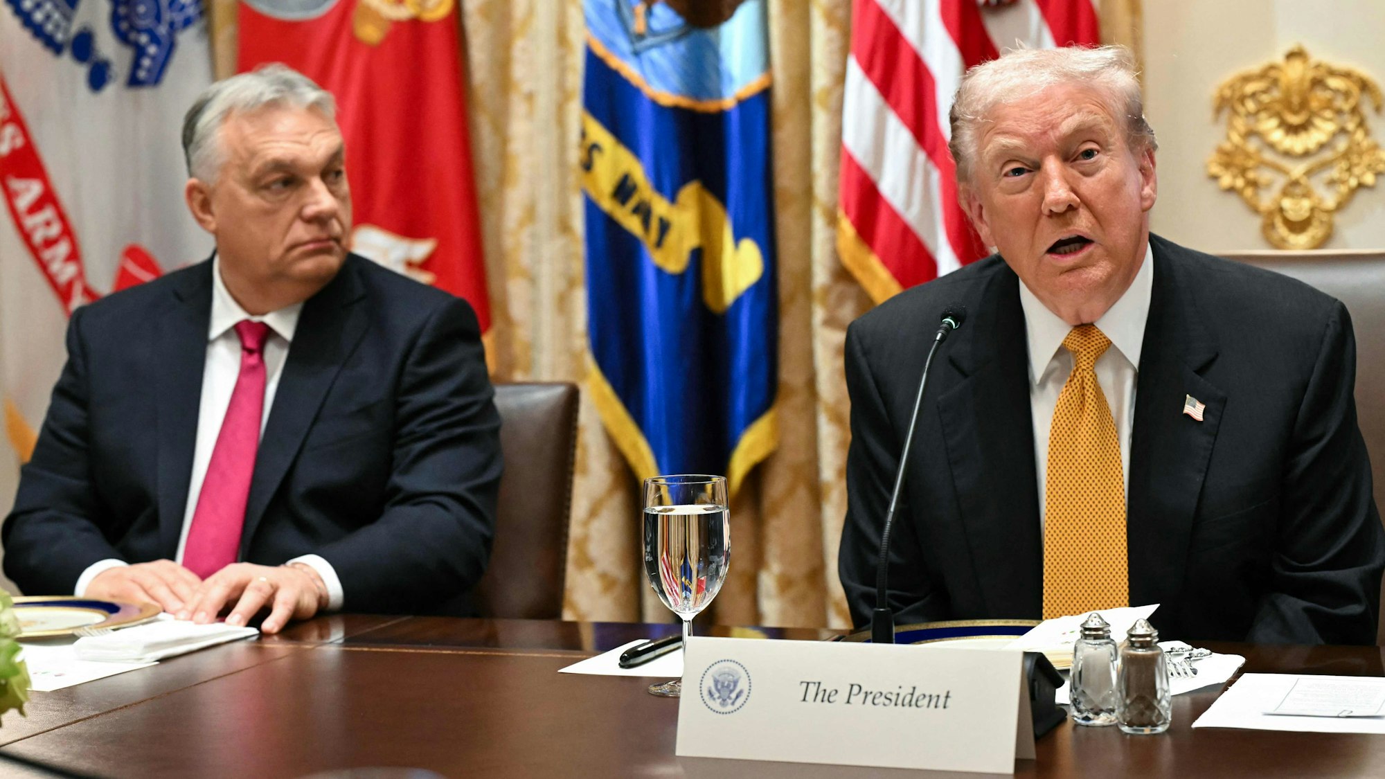 US-Präsident Donald Trump (r.) zusammen mit Ungarns Ministerpräsident Viktor Orbán im Weißen Haus. (Archivbild)