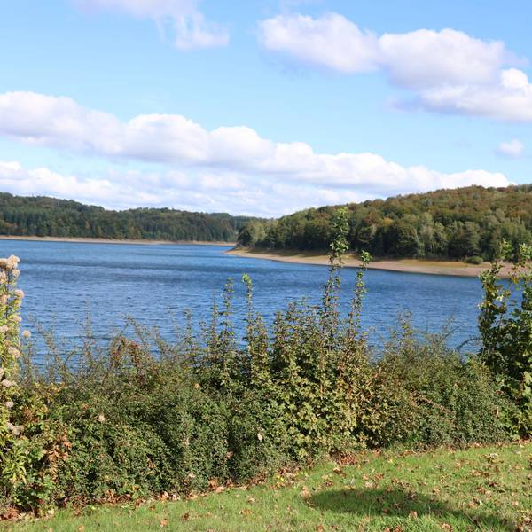 Das Symbolfoto zeigt die Wiehltalsperre bei Brüchermühle.