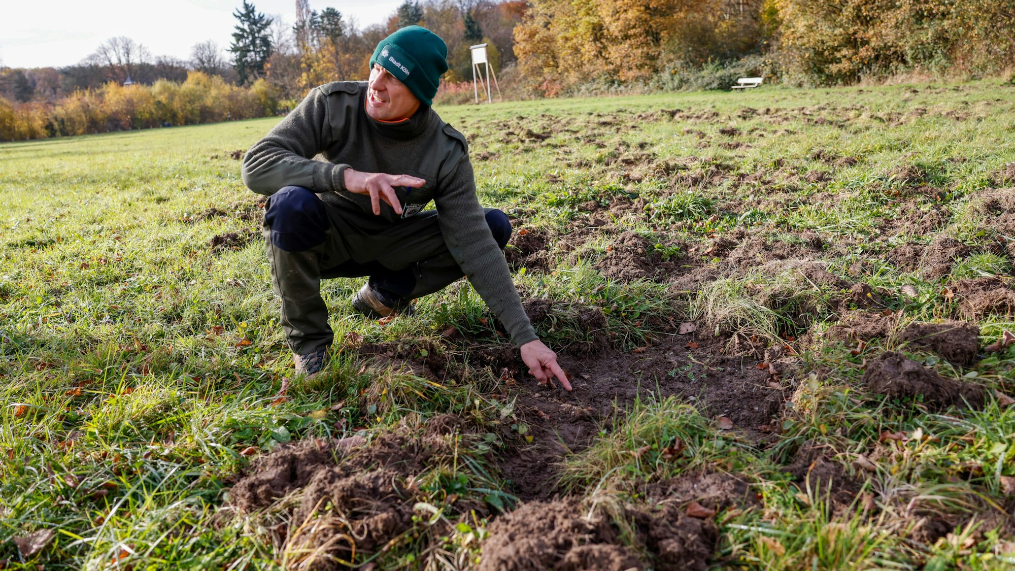 Auf einer Wiese vor Gut Leidenhausen sind die Spuren einer Wildschweinrotte deutlich zu sehen, wie Stadtförster Jörn Anlauf erklärt.