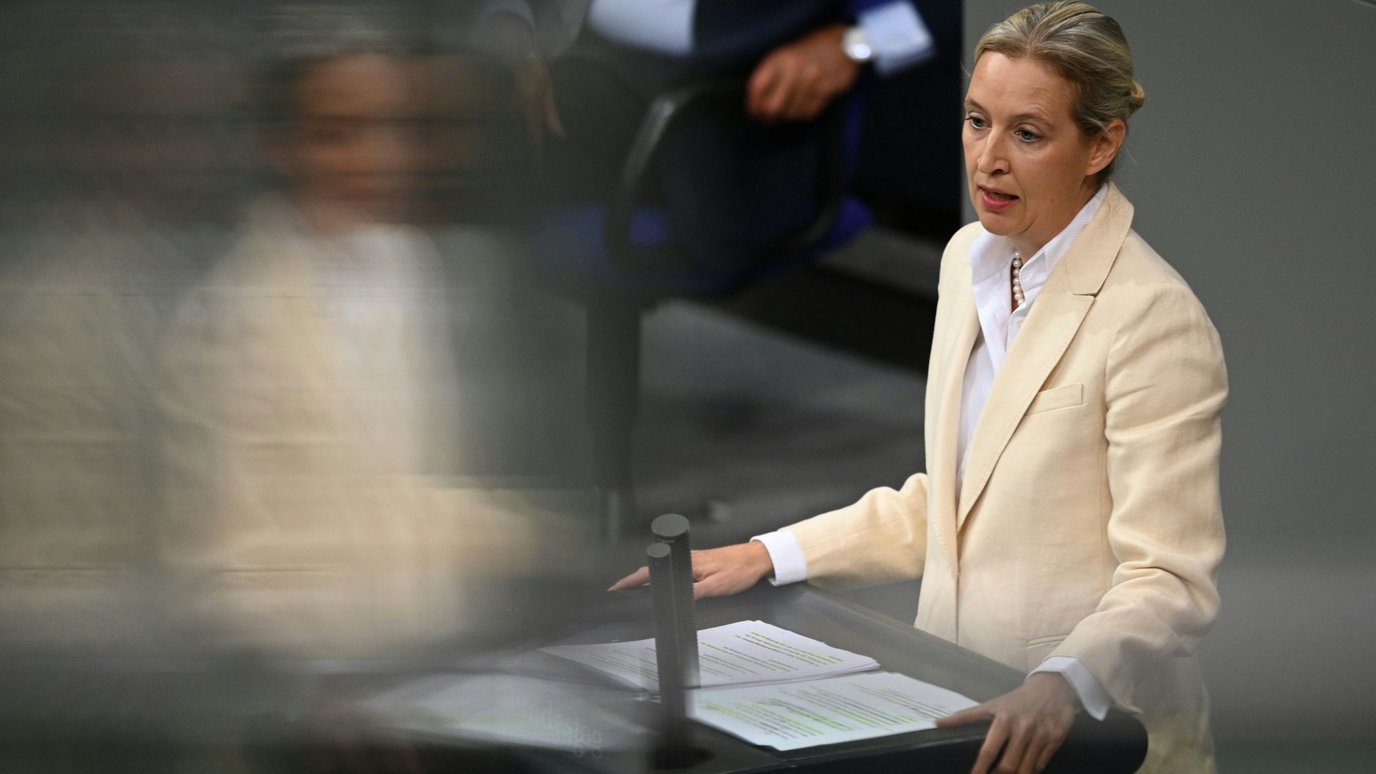 Das Foto zeigt die AfD-Politikerin Alice Weidel