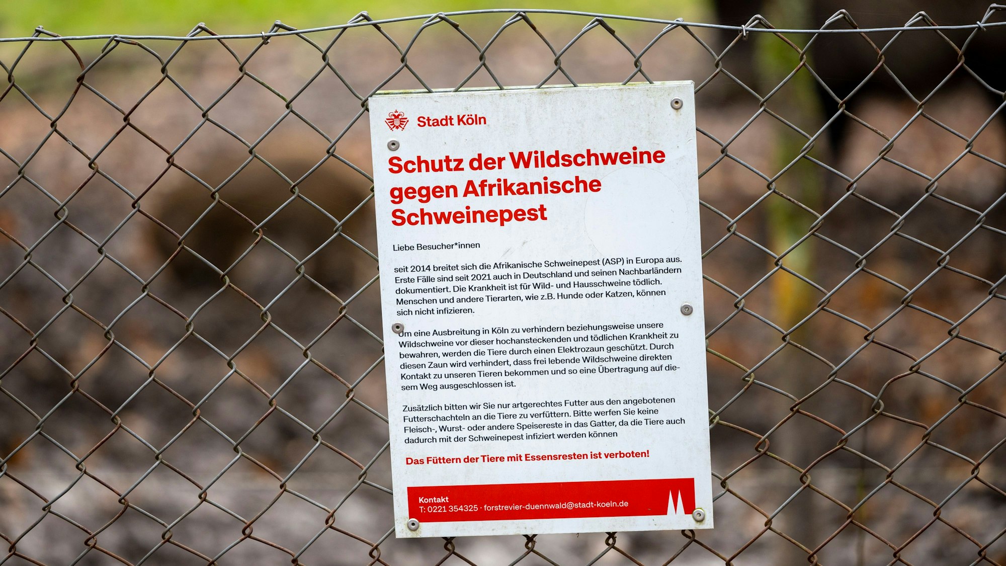 Am Zaun des Wildgeheges in Dünnwald warnt ein Schild vor der Afrikanischen Schweinepest.