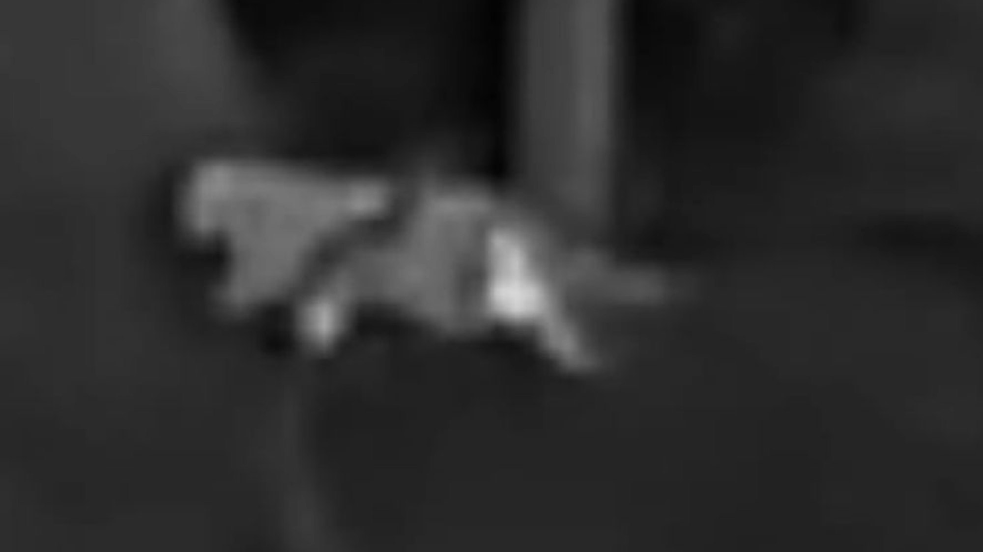 In einem Waldgebiet bei Kalenborn im Landkreis Ahrweiler nahe dem Rhein-Sieg-Kreis hat ein Jäger diese Fotos von einer vermeintlichen Großkatze aufgenommen.