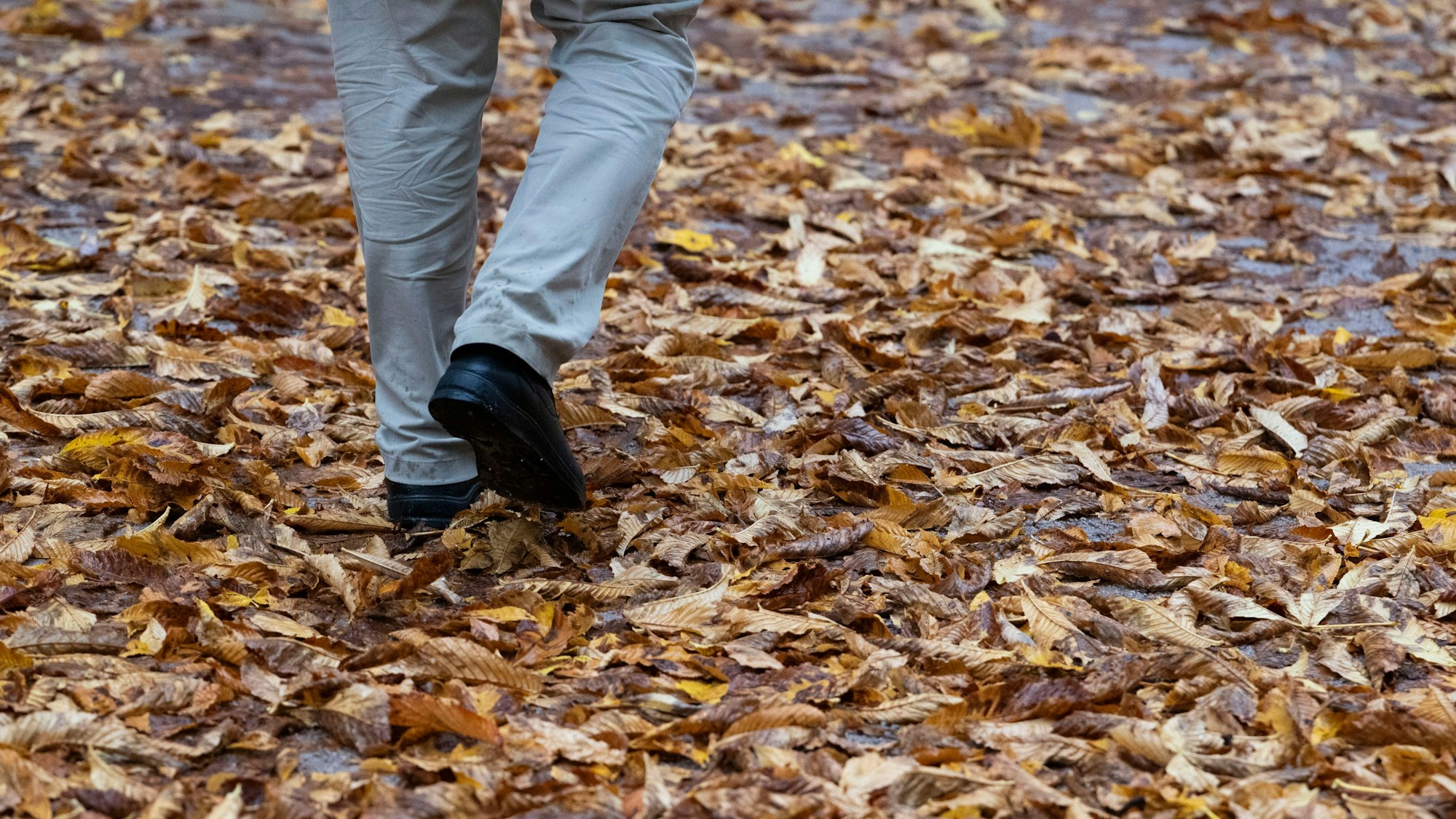 ARCHIV - 23.10.2025, Baden-Württemberg, Stuttgart: Ein Passant geht über nassem Laub auf dem Schlossplatz. (zu dpa: «Von wegen golden - Oktober im Südwesten zu trüb und zu nass») Foto: Marijan Murat/dpa +++ dpa-Bildfunk +++