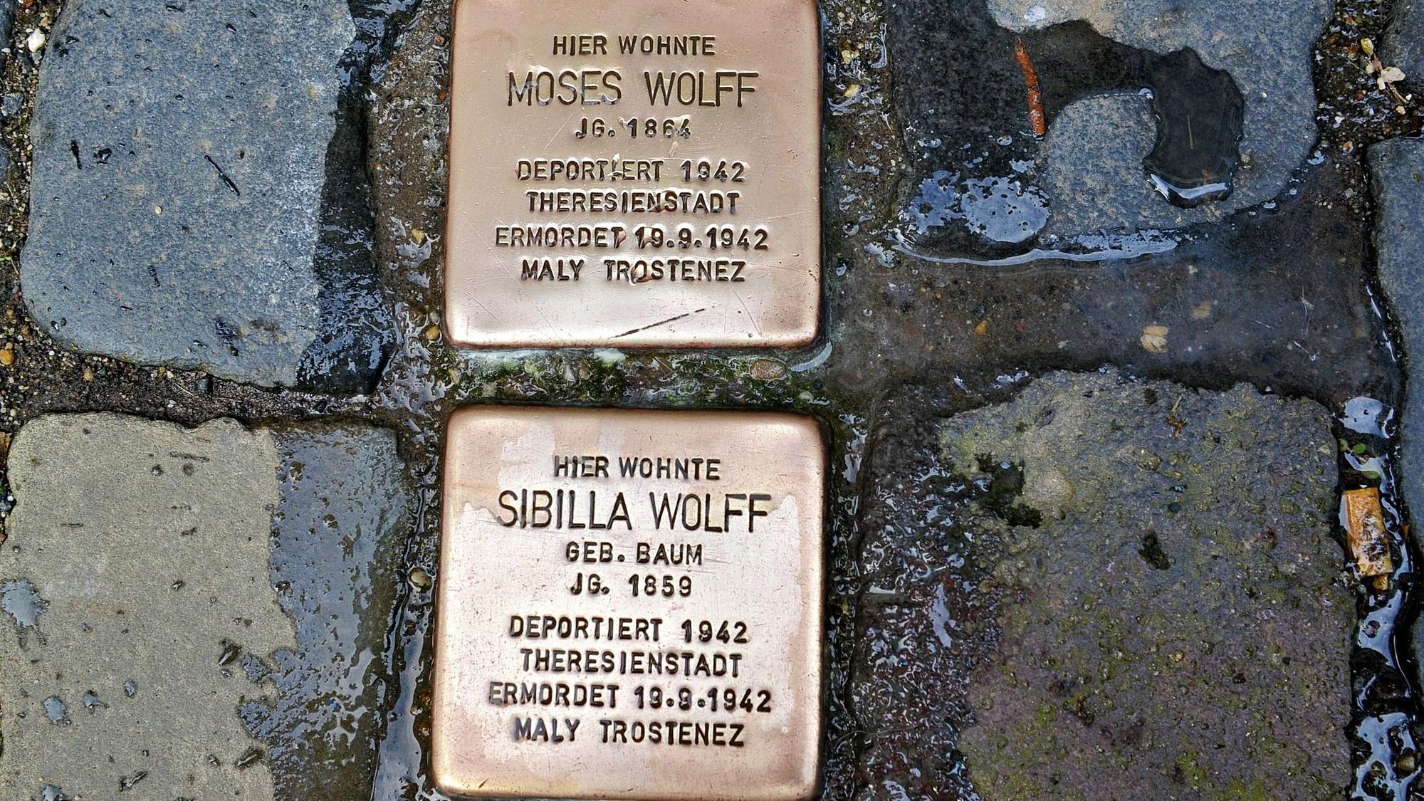 Zwei frisch polierte Stolpersteine für Mitglieder der Familie Wolff im Kopfsteinpflaster.
