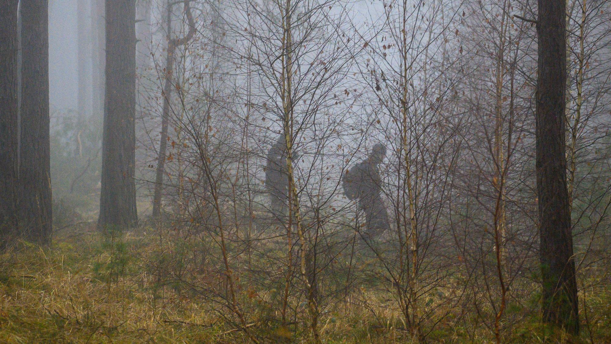 Beamte der Polizei suchen in einem Wald (Symbolfoto).