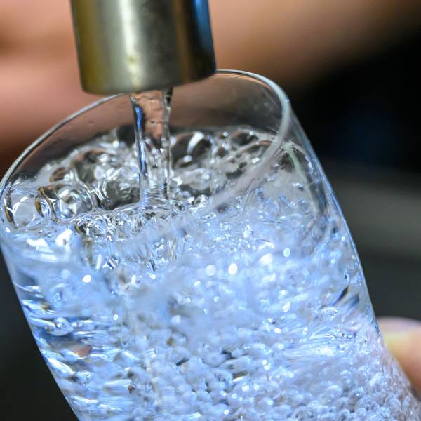 Das Bild zeigt einen Wasserhahn samt Glas, das sich mit Leitungswasser füllt.