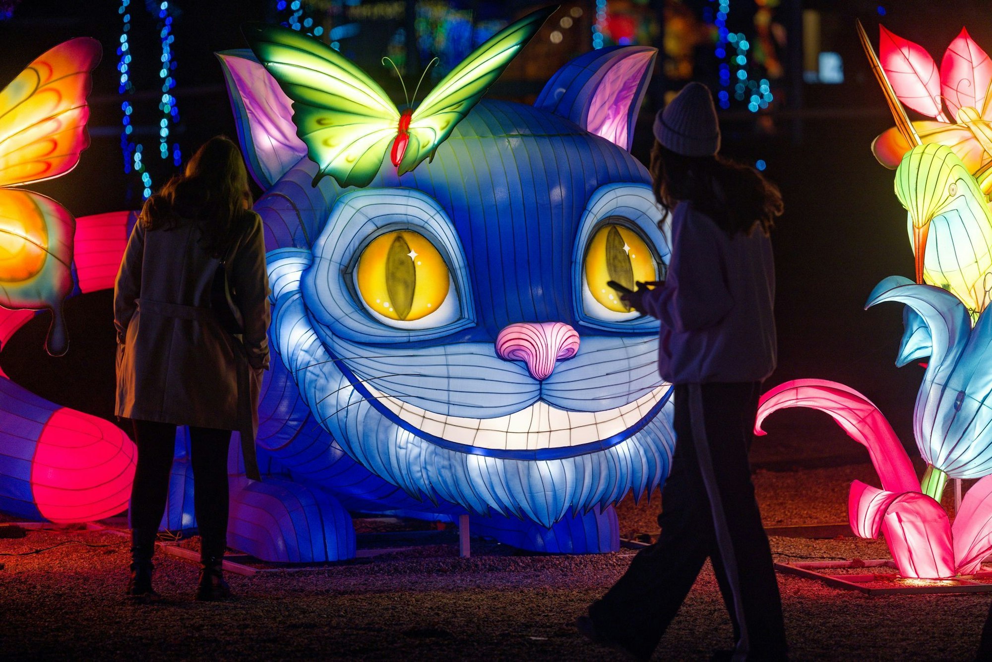 Die Grinsekatze ist auch nach Köln gekommen.