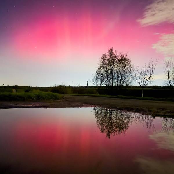 Buntes Licht am Horizont spiegelt sich in einem Gewässer.