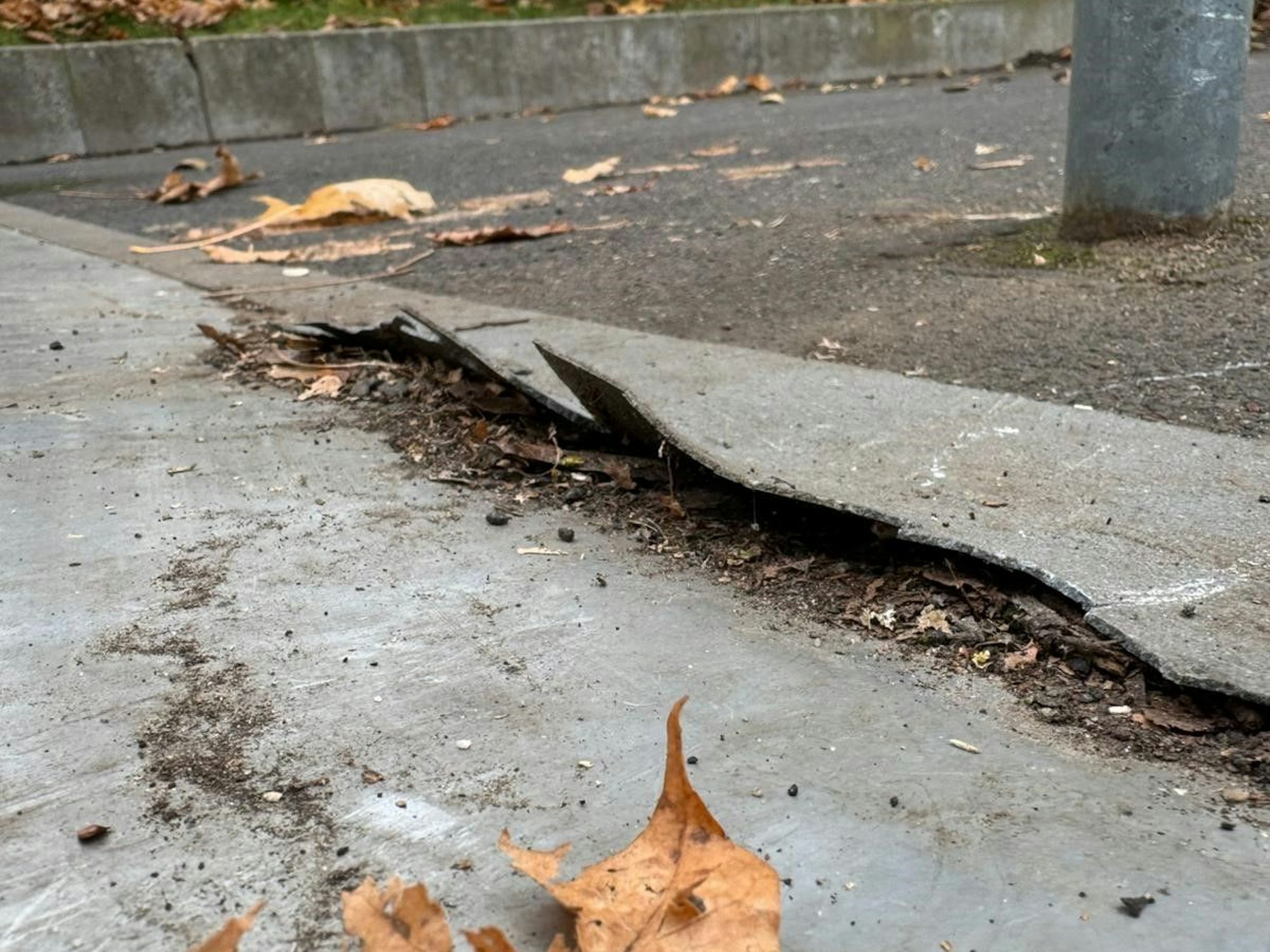 Auf dem Bild ist eine kaputte Skaterrampe zu sehen.