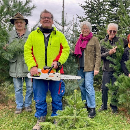 Fünf Menschen stehen inmitten von Nadelbäumen.