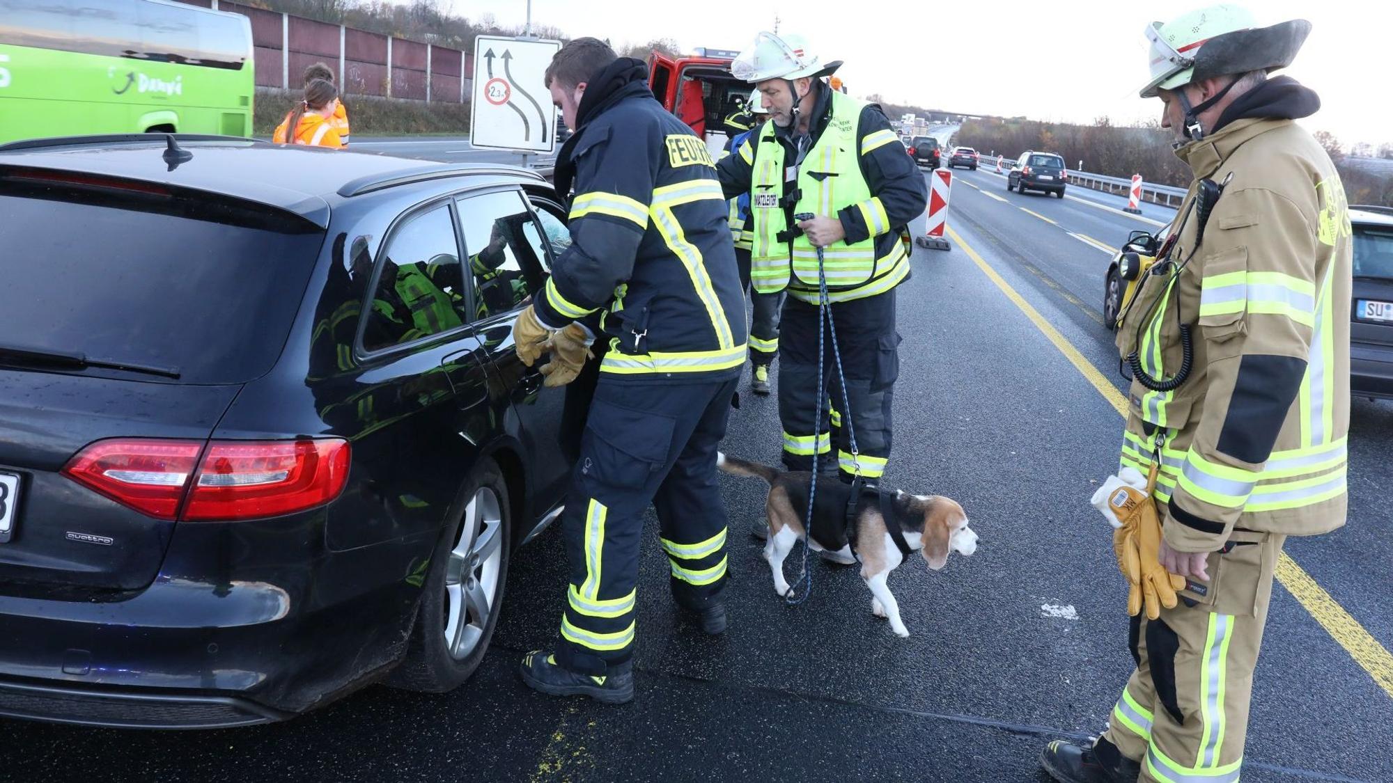 Feuerwehrleute mit einem Hund an einer Leine stehen auf einer Spur der Autobahn neben dem Unfallwagen.