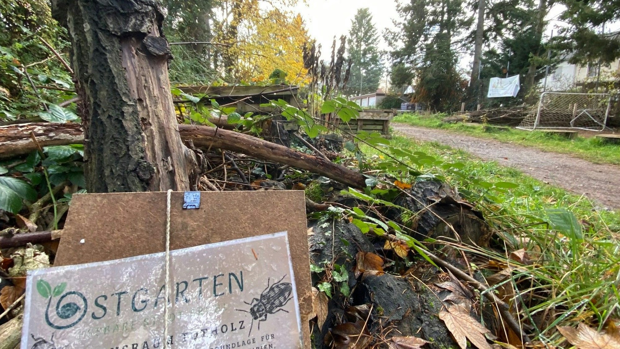 Zu sehen ist der mit Beeten bestückte ehemalige Bolzplatz.