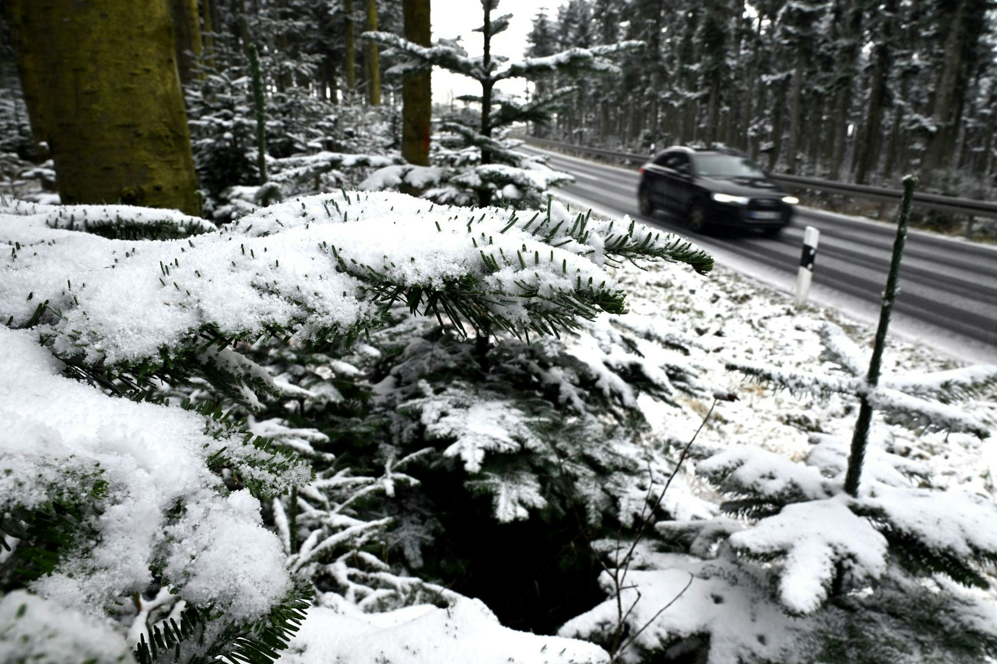 In den kommenden Tagen sinkt die Schneefallgrenze immer weiter.