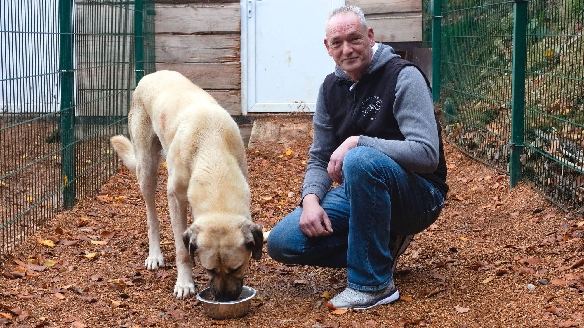 Thomas Kirschnick (50), hier mit Kangal Pascha, leitet die Reichshofer Station seit 2021 mit großer Leidenschaft.