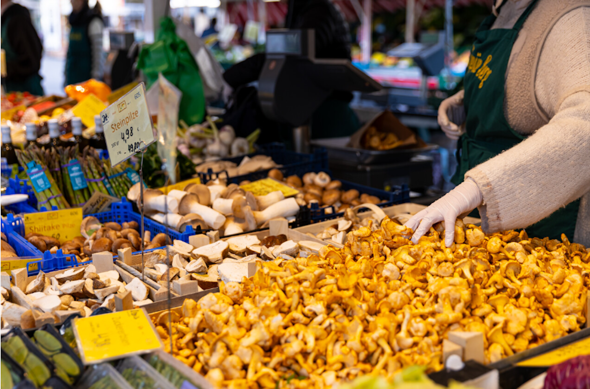 Das Bild zeigt eine bunte Auswahl an Pilzen, darunter Steinpilze, die auf einem Marktstand ausliegen