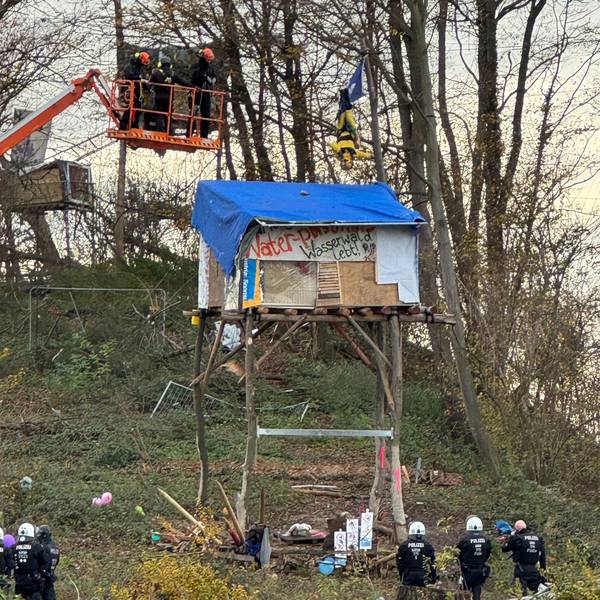 Das Bild zeigt Polizisten auf einer Hebebühne an einem Baumhaus und eine Person, die in Seilen hängt.