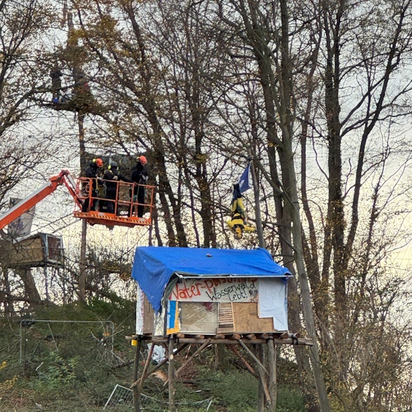 Das Bild zeigt Polizisten auf einer Hebebühne an einem Baumhaus und eine Person, die in Seilen hängt.