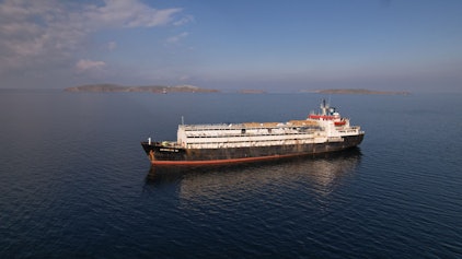 Auf diesem von der Animal Welfare Foundation zur Verfügung gestellten Bild ankert das Viehtransportschiff „Spiridon II“ mit Tausenden Rindern noch vor der türkischen Küste.