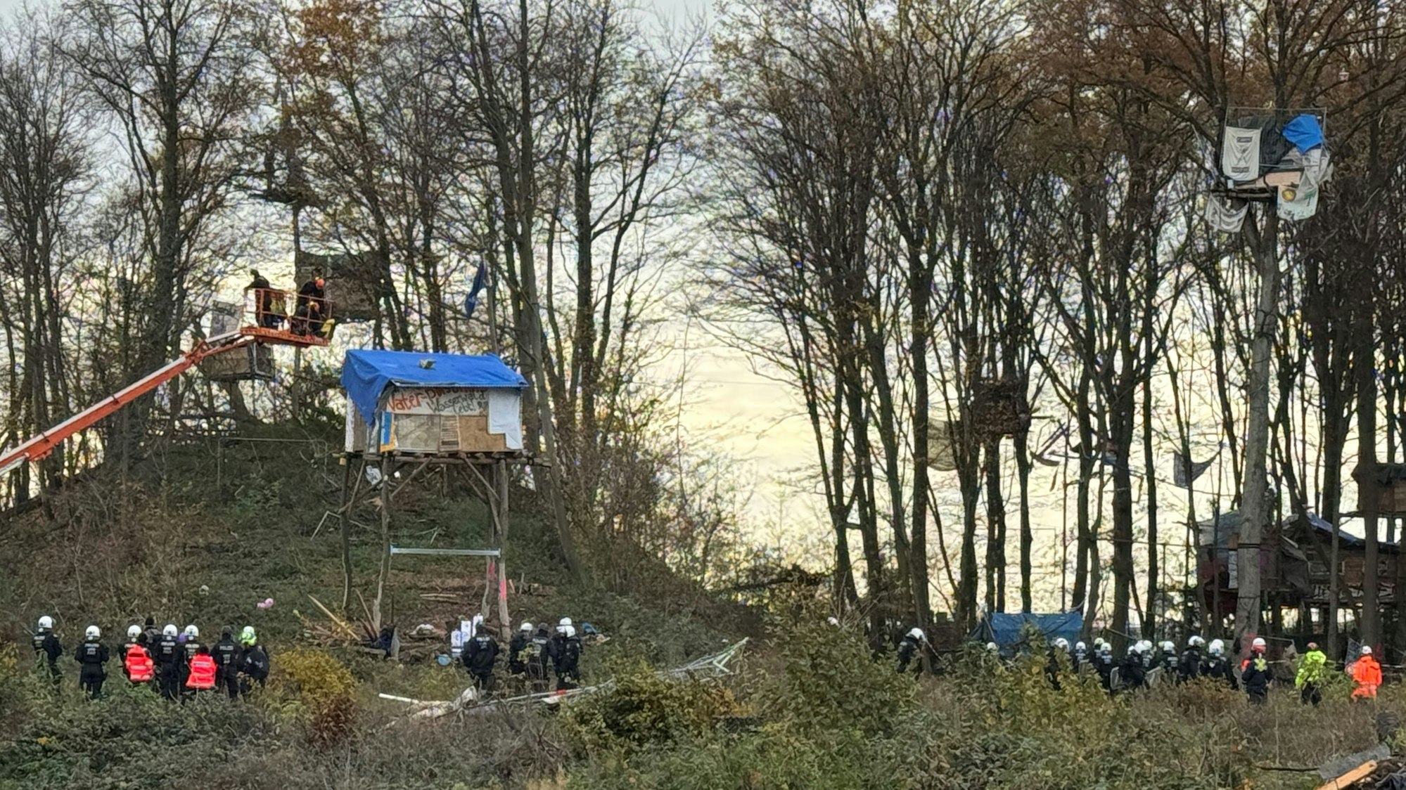 Das Bild zeigt mehrere Einsatzfahrzeuge der Polizei auf einem Feldweg.