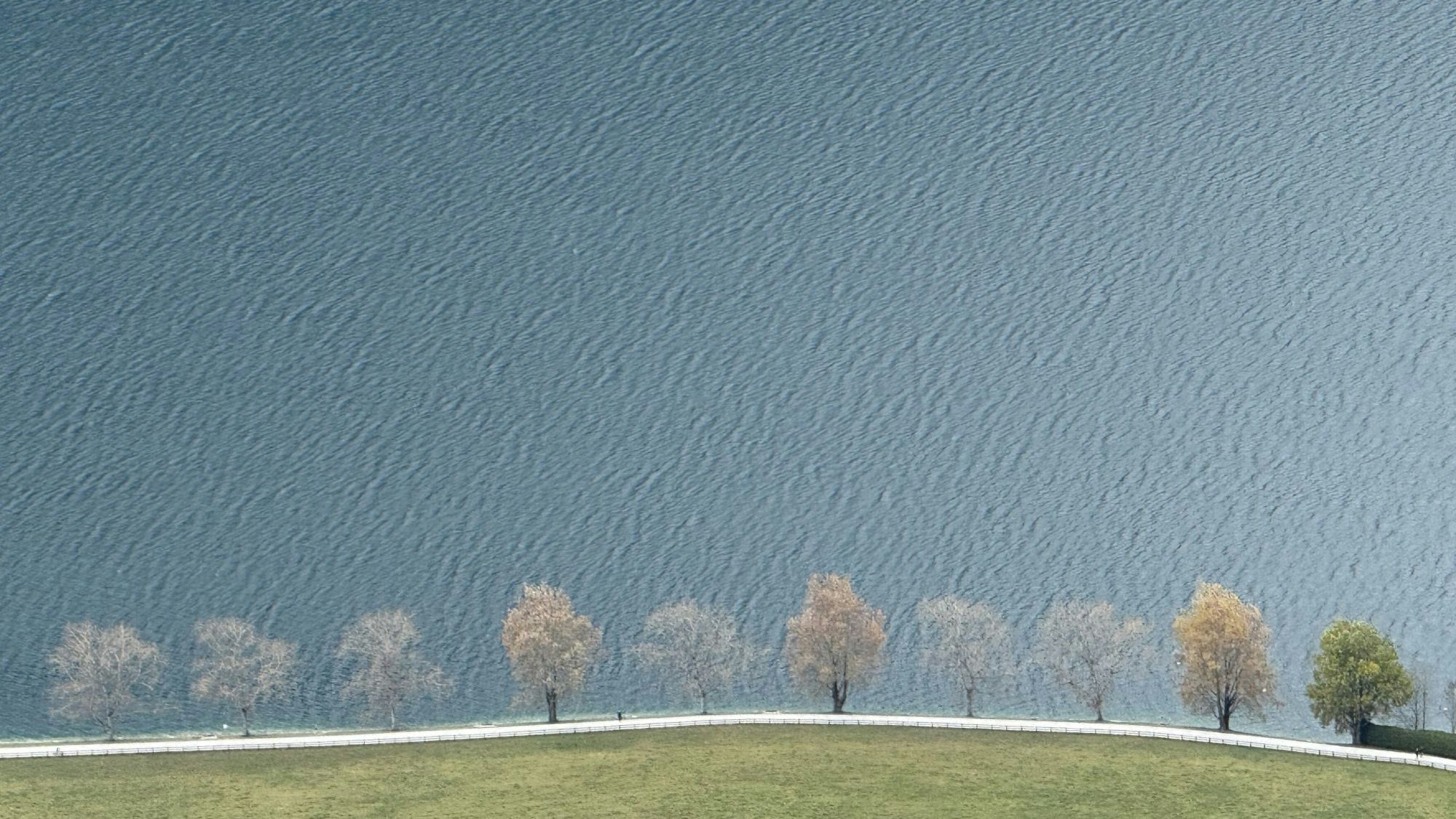 Vor einem See steht eine Reihe von Bäumen.