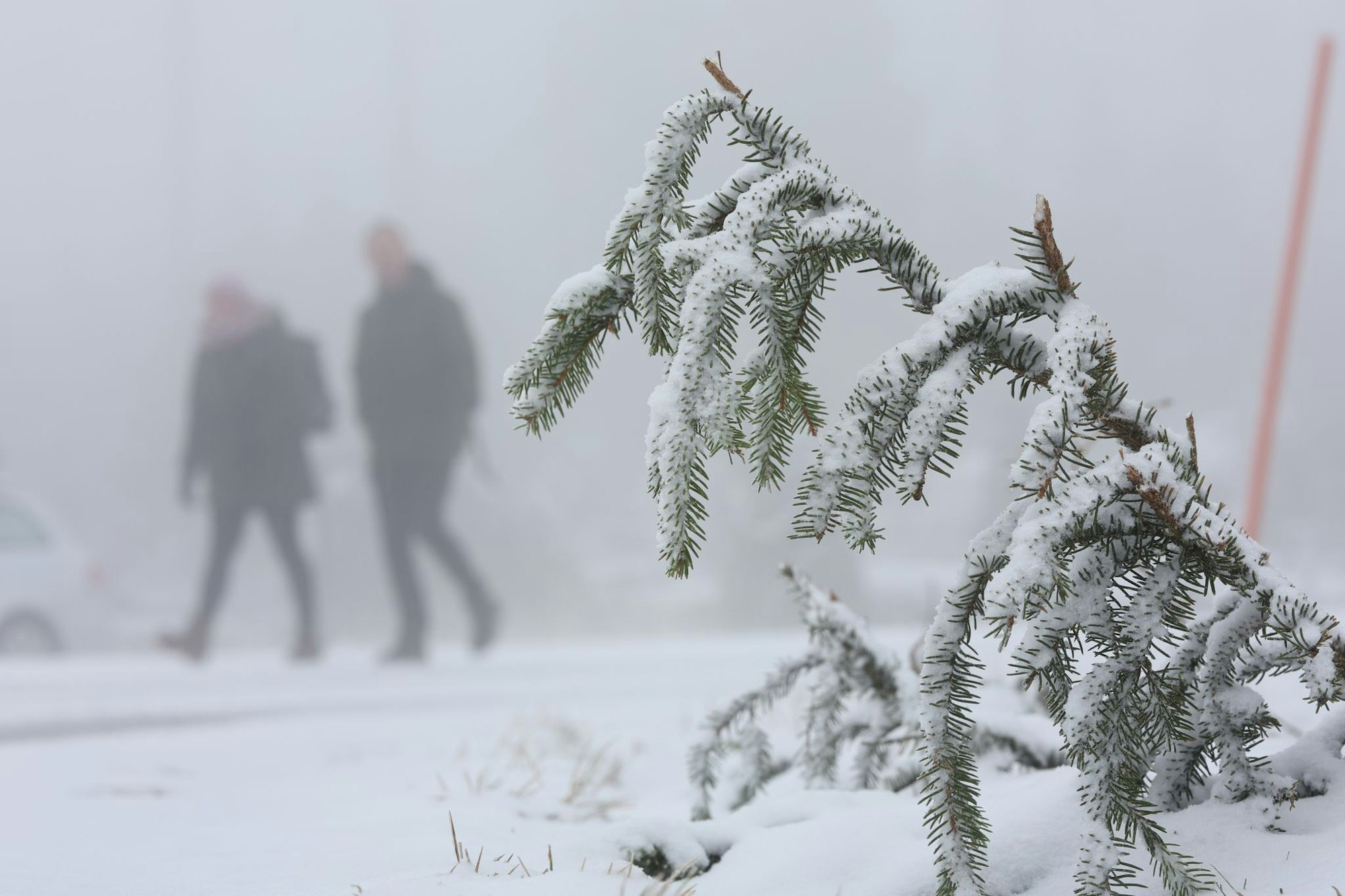 In den Mittelgebirgen wie dem Harz wird am Mittwoch Neuschnee erwartet.