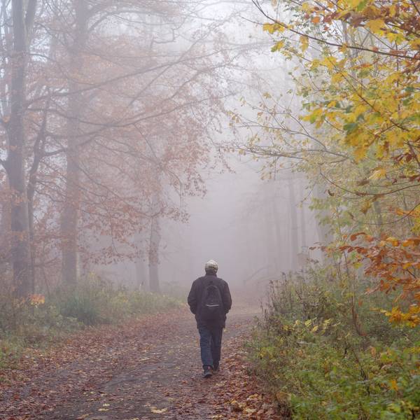 Ein Mann geht allein im Nebel über einen Waldweg.